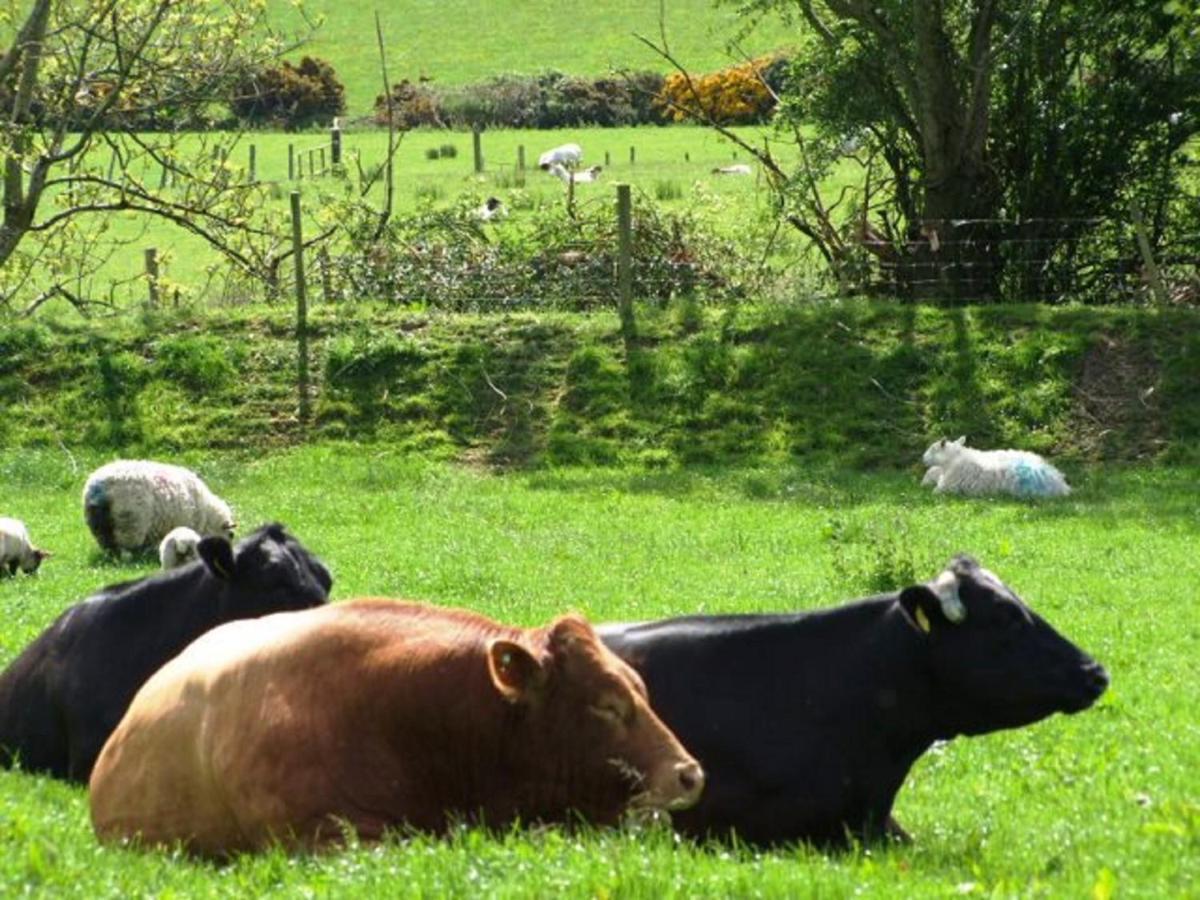 ראונדווד Glendalough Scenery Farmhouse מראה חיצוני תמונה